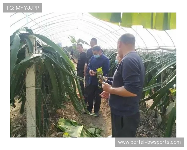 石台县深耕“体育+”融合发展